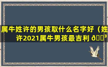 属牛姓许的男孩取什么名字好（姓许2021属牛男孩最吉利 🌳 的字）